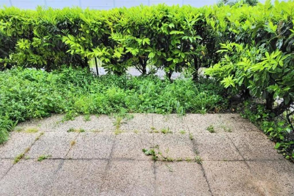 Appartement Cosy Proche Paris Le Bourget Buitenkant foto
